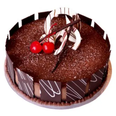 Special Chocolate Cake