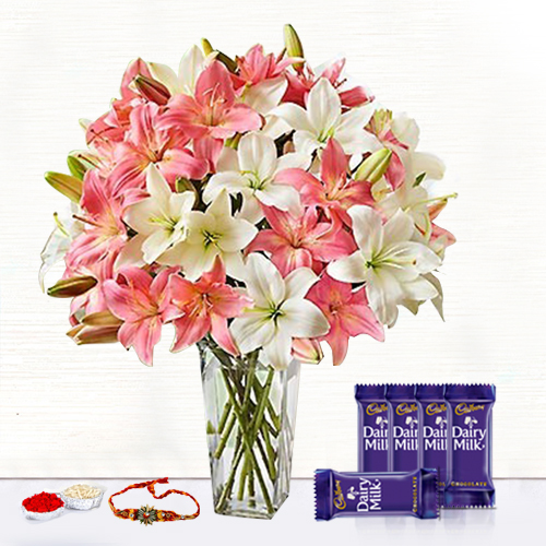 Asiatic Fusion - Rakhi & Dairy Milk