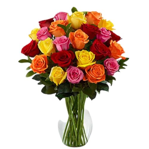 Multi Color Roses Flower
