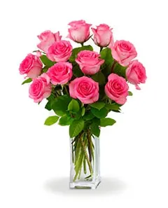 Dozen Pink Roses