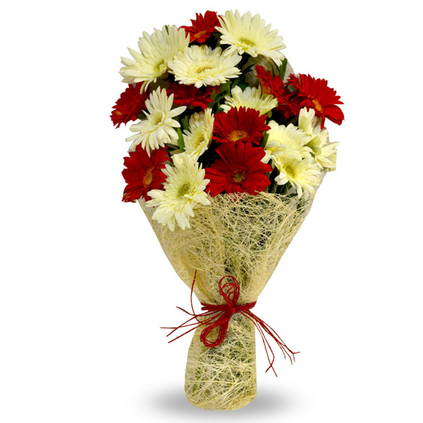 Happy Go Lucky Flower