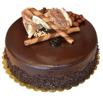 Yummy Chocolate Cake