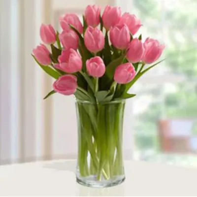 20 Pink Tulips