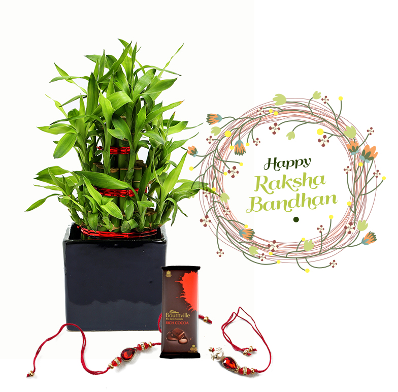 Raksha Bandhan Gift Lucky Bamboo 3 layers Combo with Rakhi 