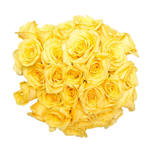 Caring Roses Flower- Grand