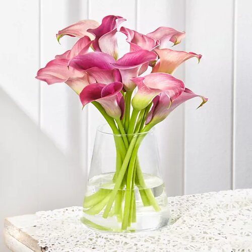 Pink Blush Exotic Flower