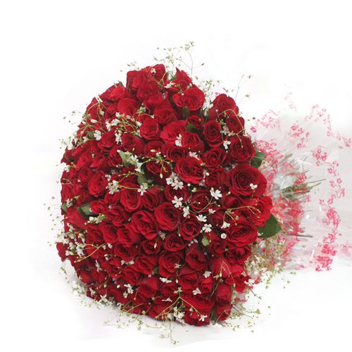 Huge 150 Roses Flower Cellection 