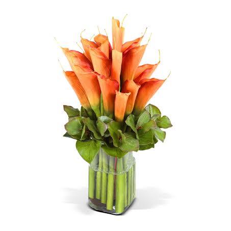 Orange Calla Lilies Exotic Flower