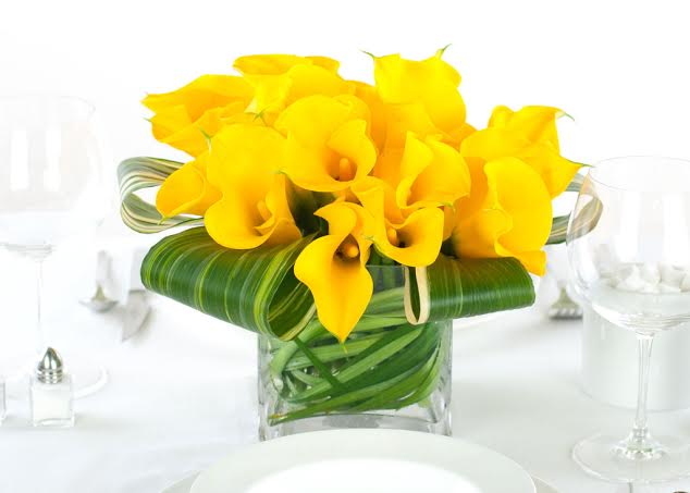 Yellow Calla Lilies Exotic Flower
